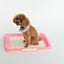 YES4PETS Large Portable Dog Potty Training Tray Pet Puppy Toilet Trays Loo Pad Mat Pink