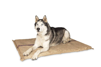 Jumbo Hessian Pet Dog Puppy Bed Mat Pad House Kennel Cushion With Foam 110 x 78 cm