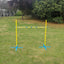 YES4PETS Portable Dog Puppy Training Practice Jump Agility Post