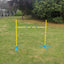 YES4PETS Portable Dog Puppy Training Practice Jump Bar Poles Agility Post