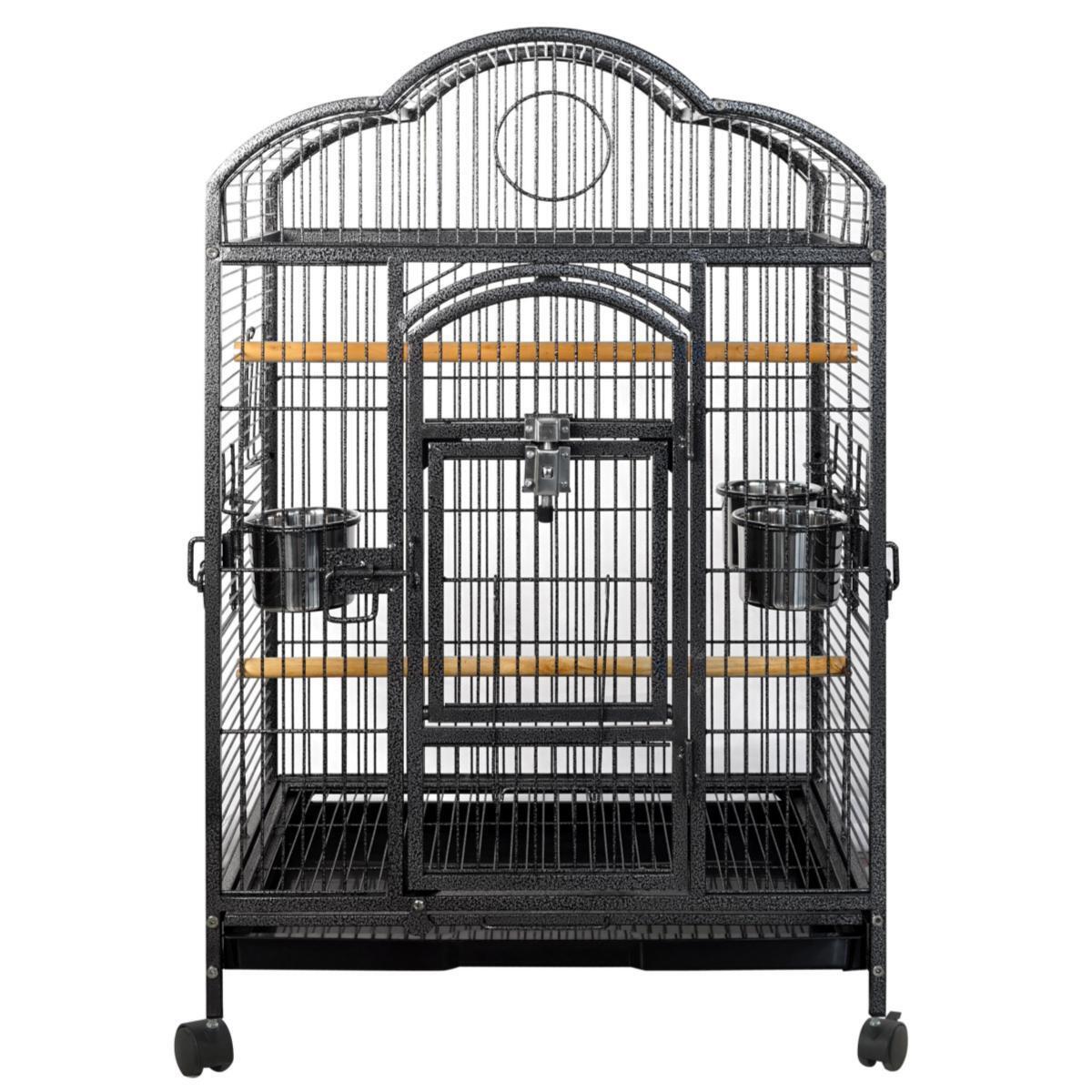 Budgie carry cage best sale